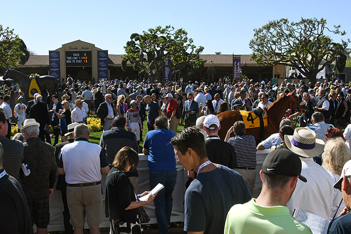 Paddock at Santa Anita Park on Breeders Cup Friday