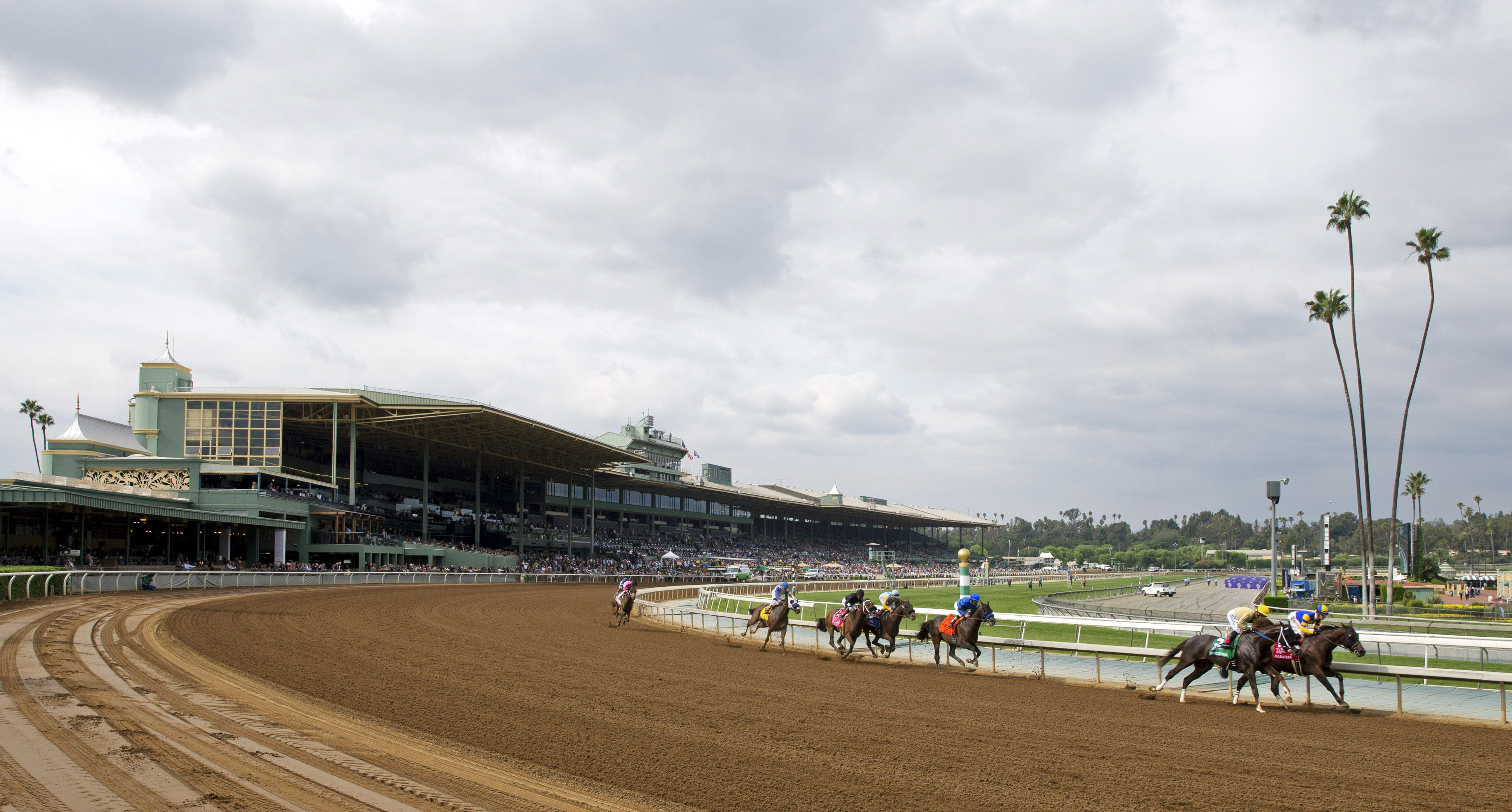Horses round the turn a Santa Anita