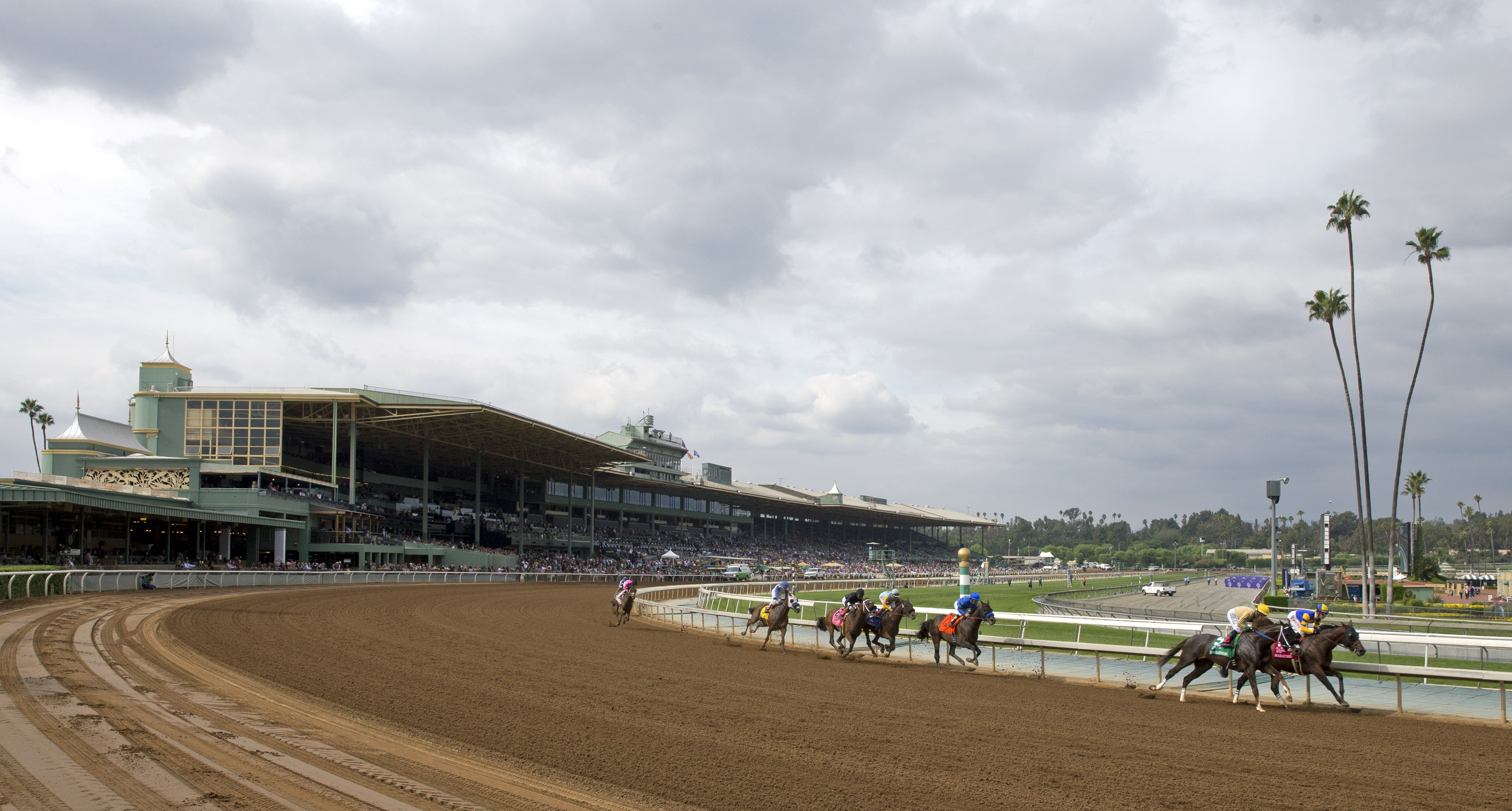 Santa Anita dirt race