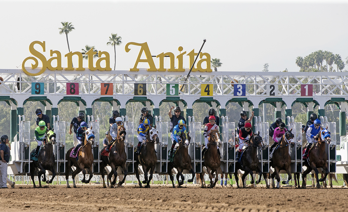 Santa Anita race start