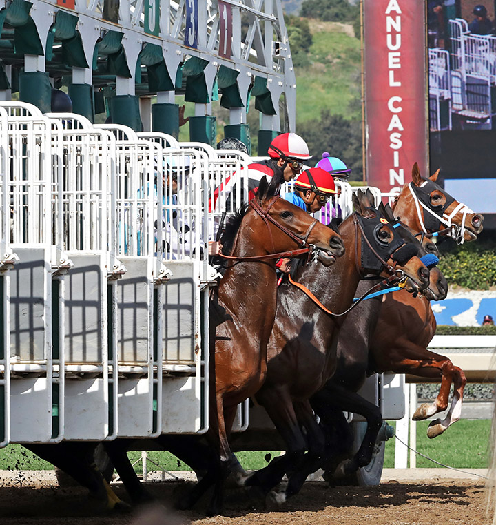 Santa Anita starting gate