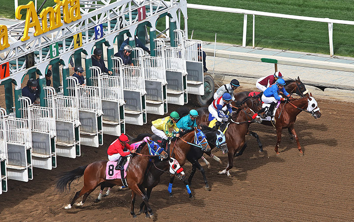 Santa Anita starting gate