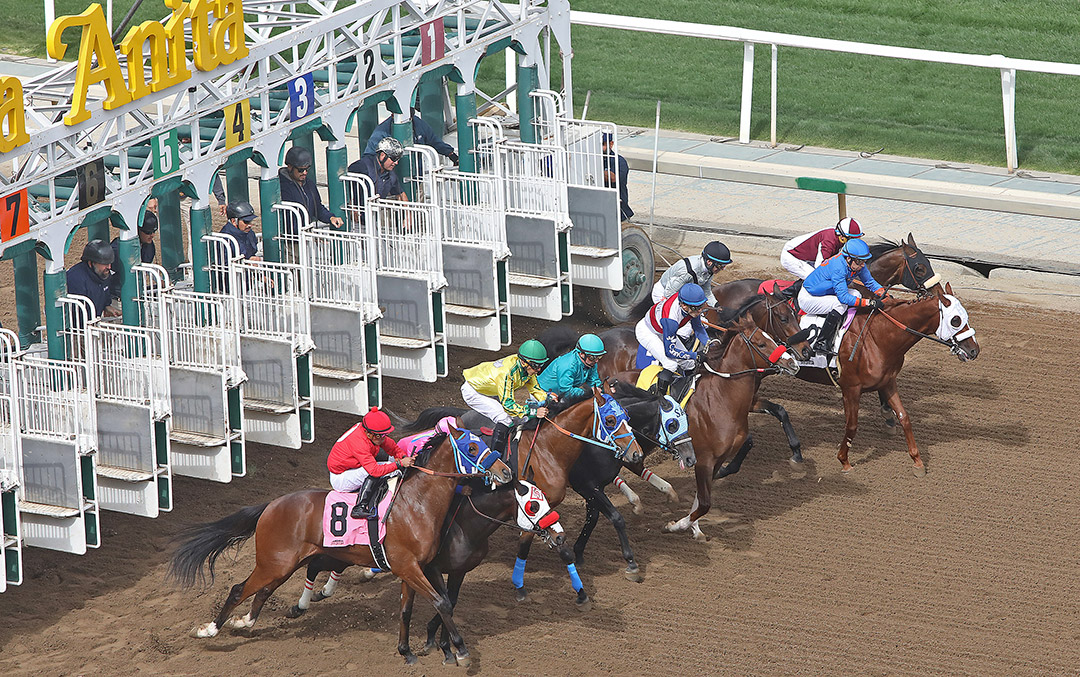 Santa Anita race start