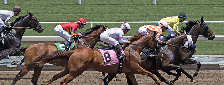 Santa Anita dirt racing