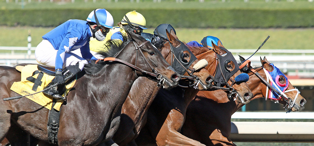 Racing at Santa Anita Park