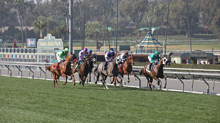 Turf racing at Santa Anita Park, February 2020