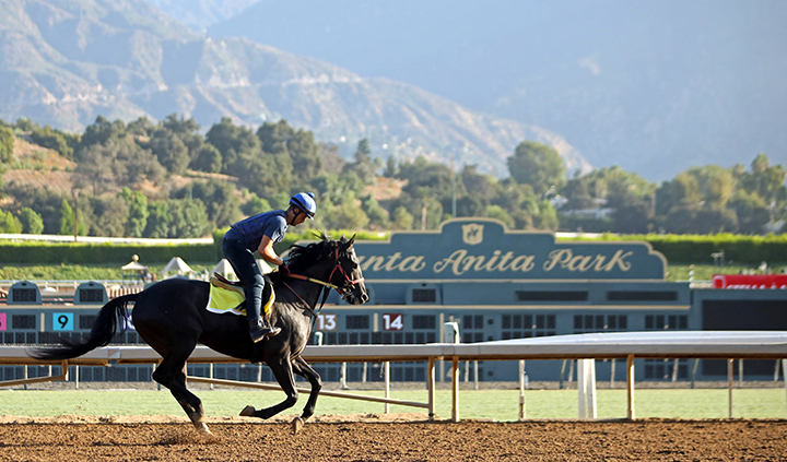 Santa Anita Park