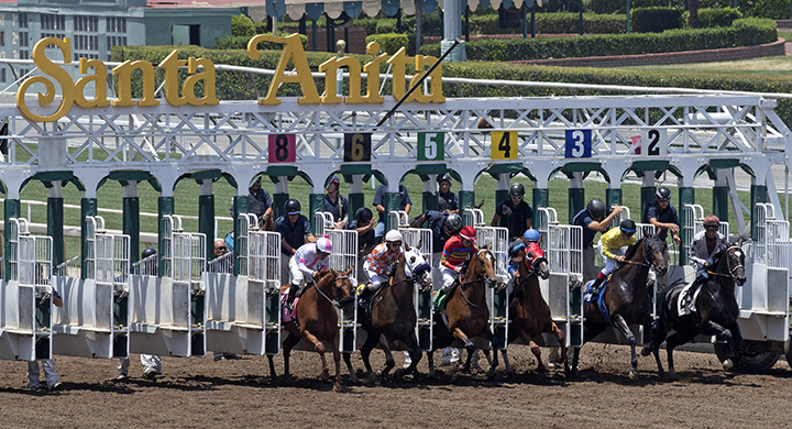 Santa Anita starting gate