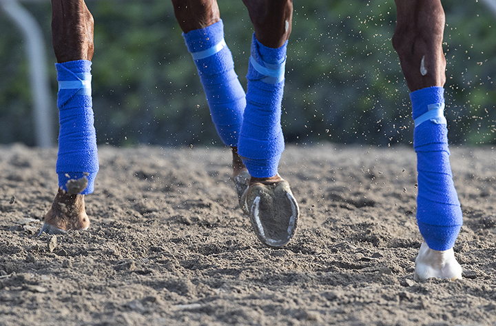 Santa Anita, track entry dirt