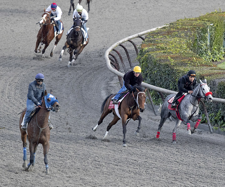Training at Santa Anita on March 11