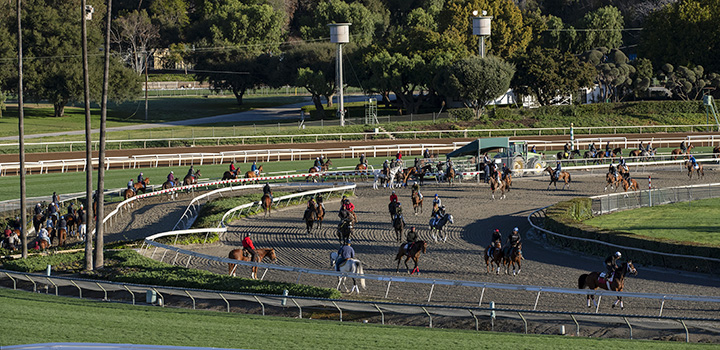 Santa Anita training track, first day of training March 8, 2019