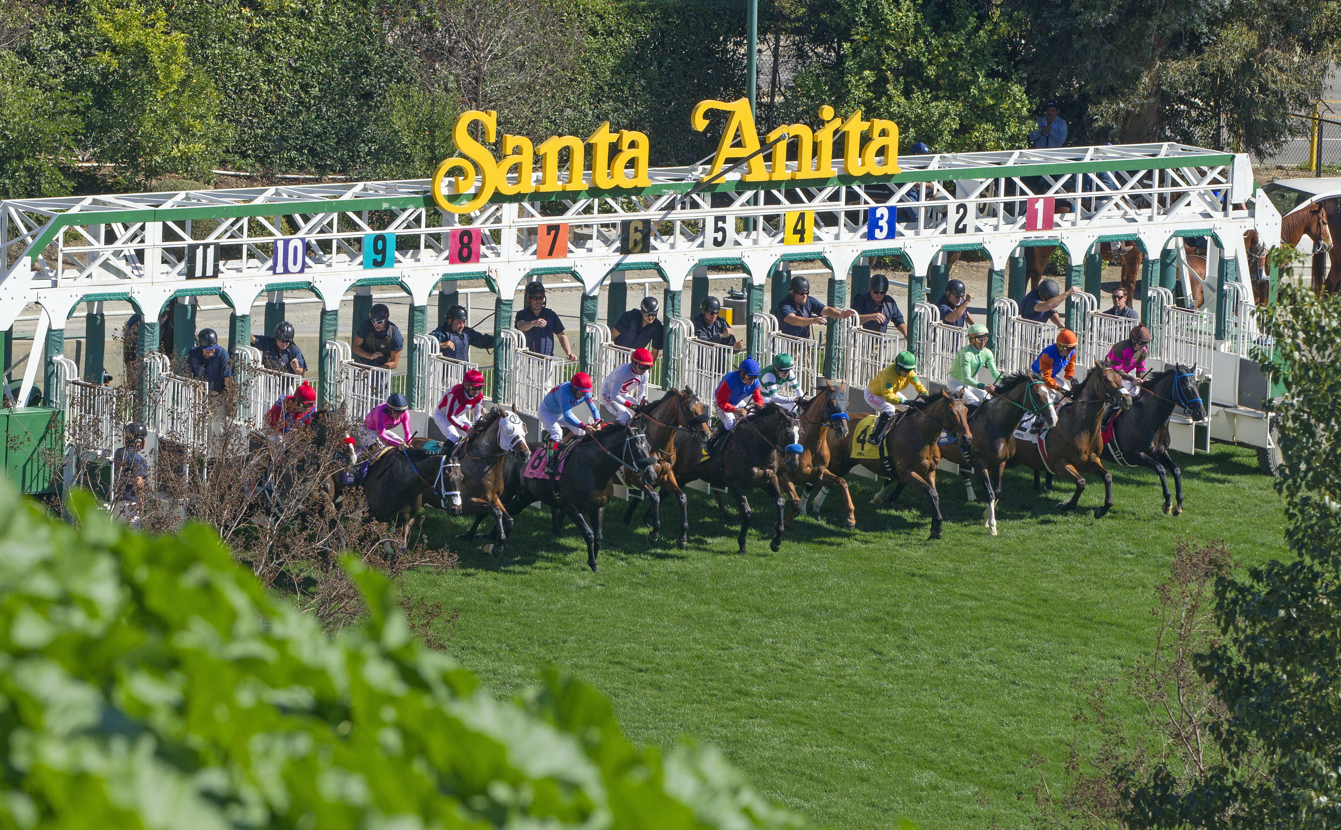 Santa Anita turf racing 2017