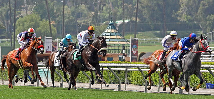 Santa Anita turf race on April 27, 2019