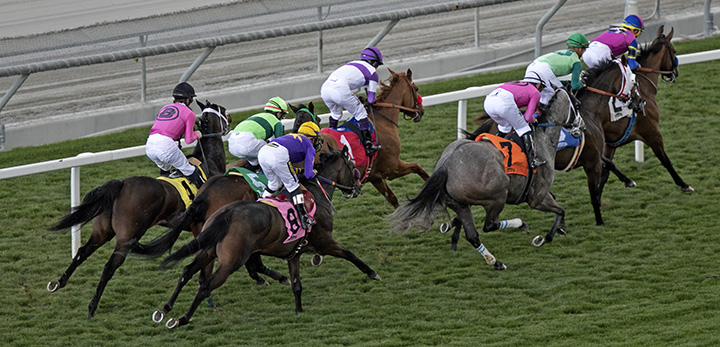 Santa Anita turf racing
