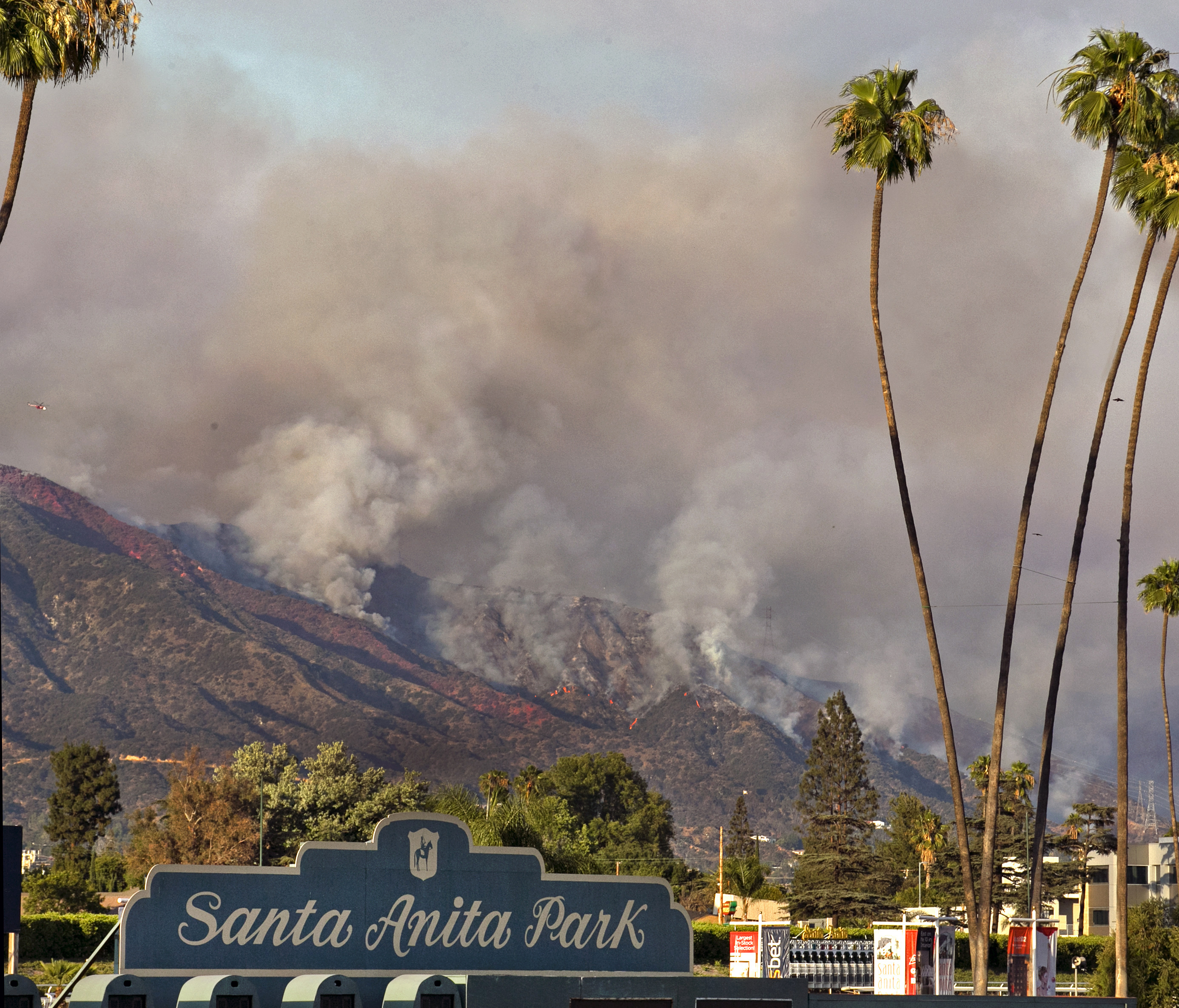 San Gabriel wildfire near Santa Anita Park