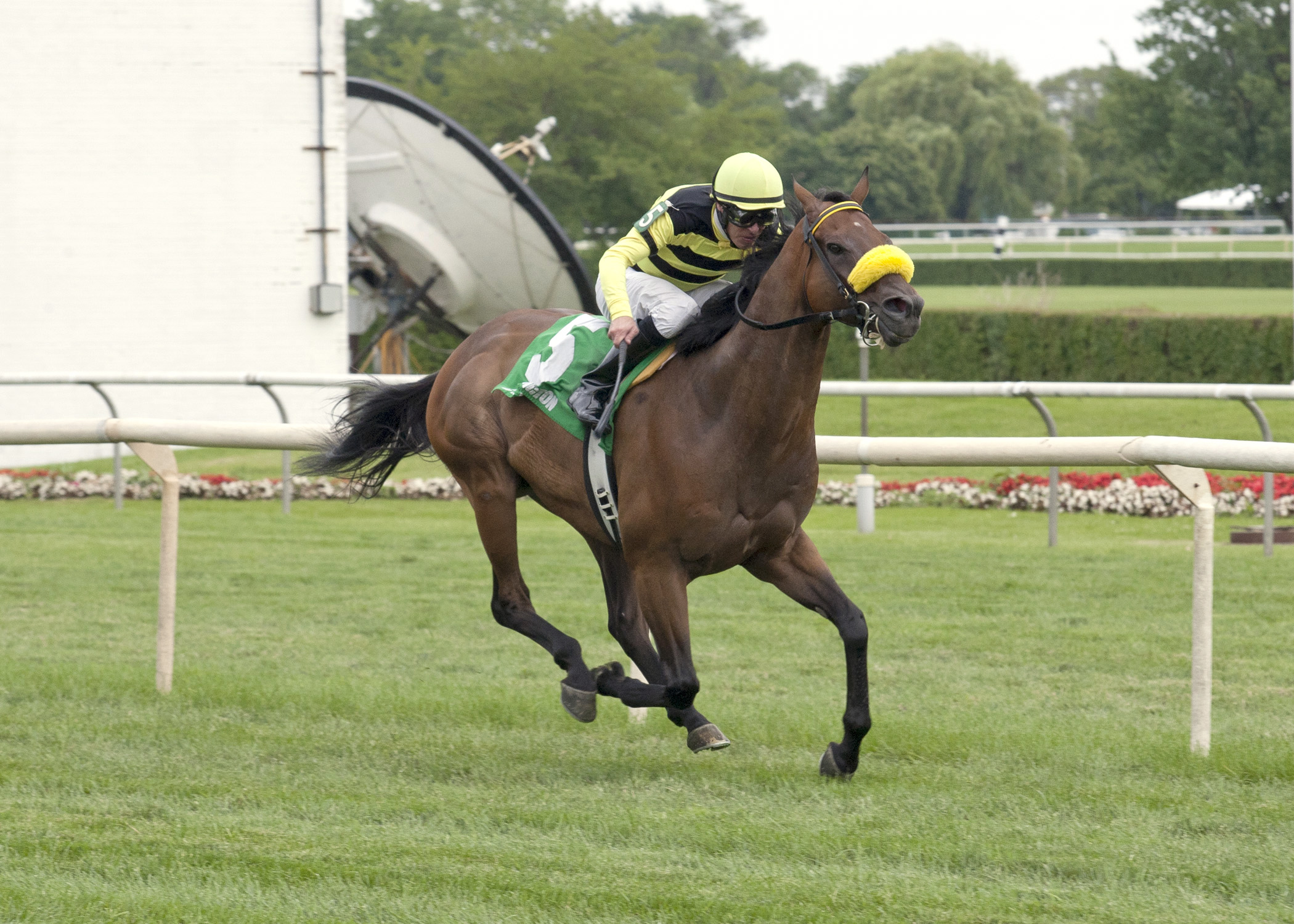 Saint Leon 7-5-2014