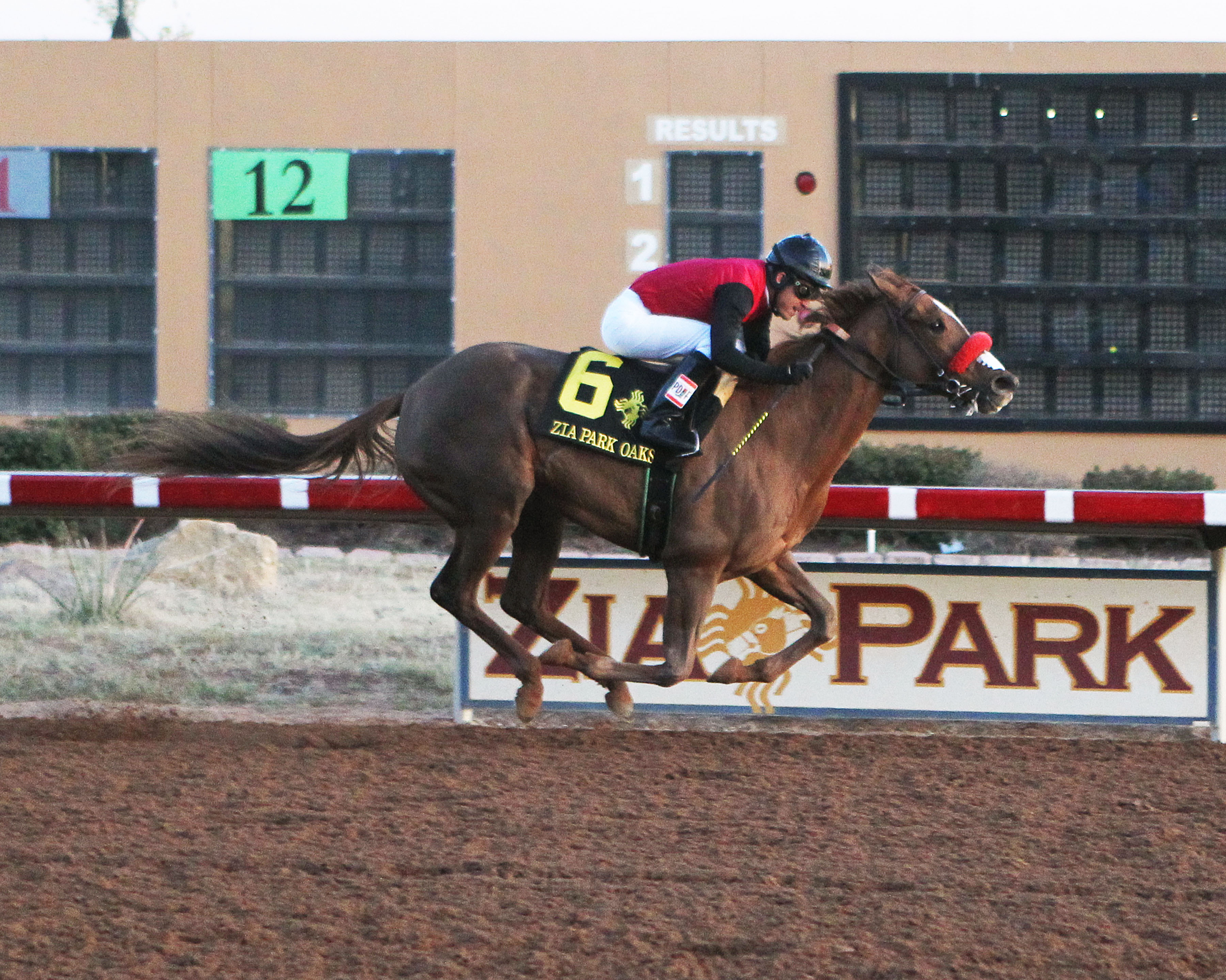 Sandys Surprise wins the 2017 Zia Park Oaks