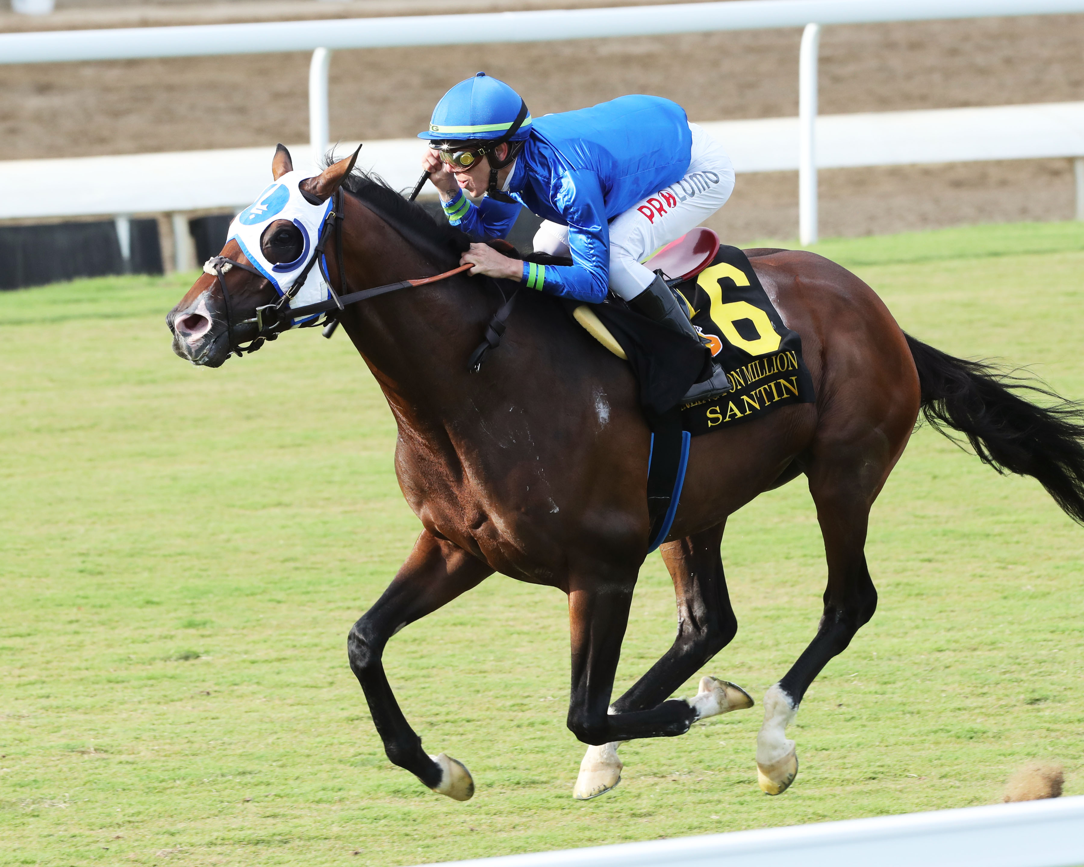 Santin - Arlington Million S. 2022