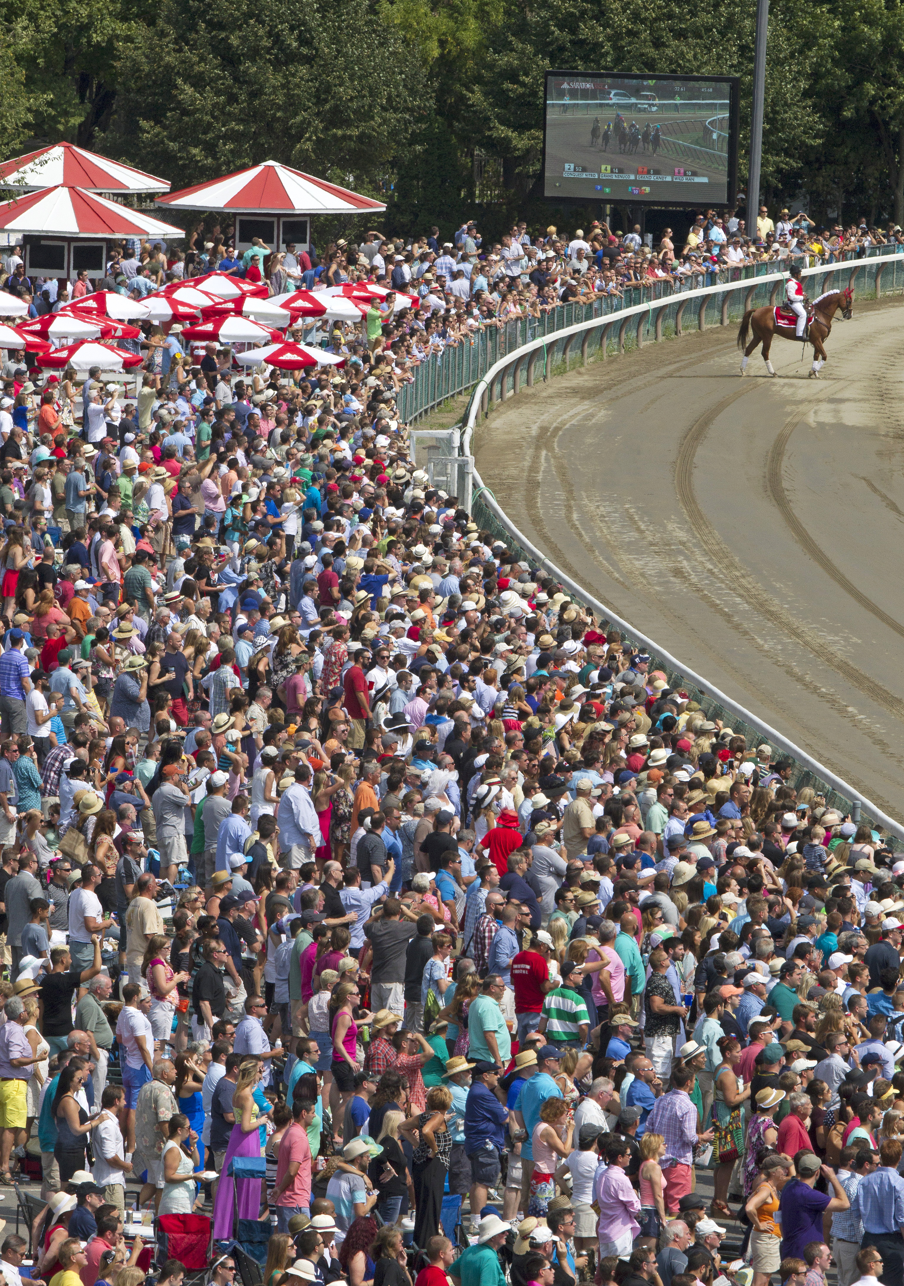 Travers Day crowd at Saratoga