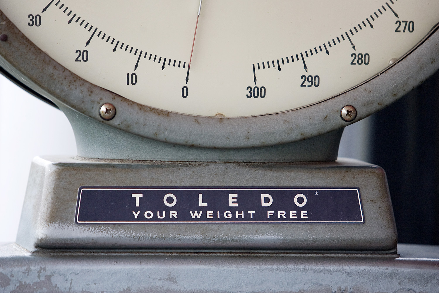 jockey scale horizontal
