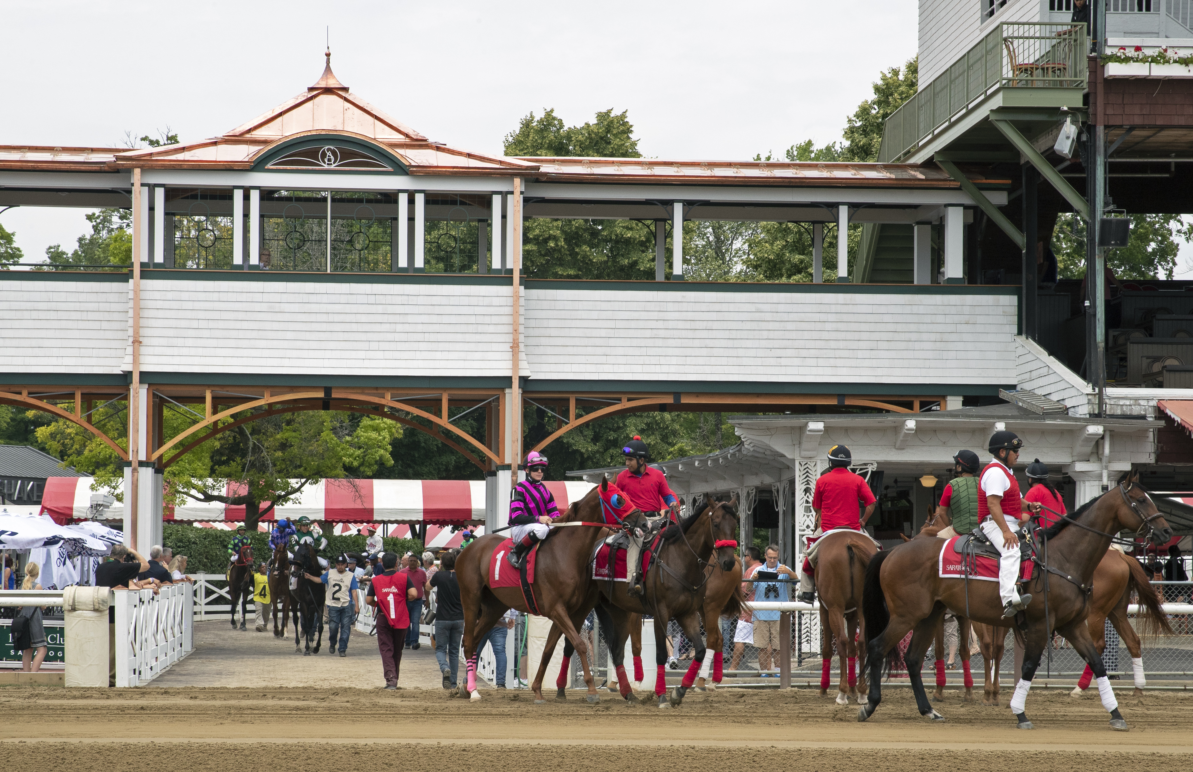 Horses come on to the track for the first race at Saratoga 2019