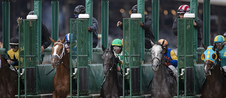 Saratoga racing starting gate