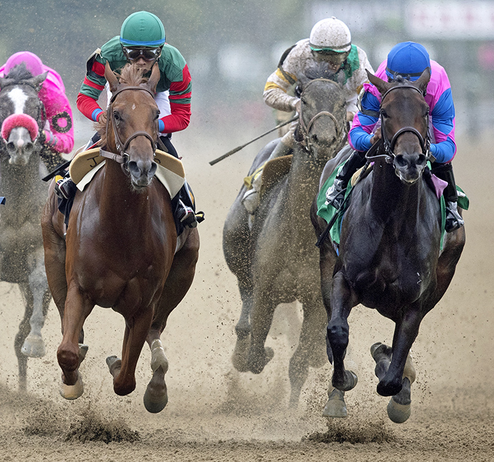 Elegant Zip wins an Aug. 15 maiden race