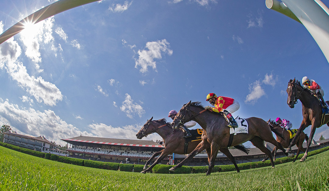 Saratoga turf racing, July 2020