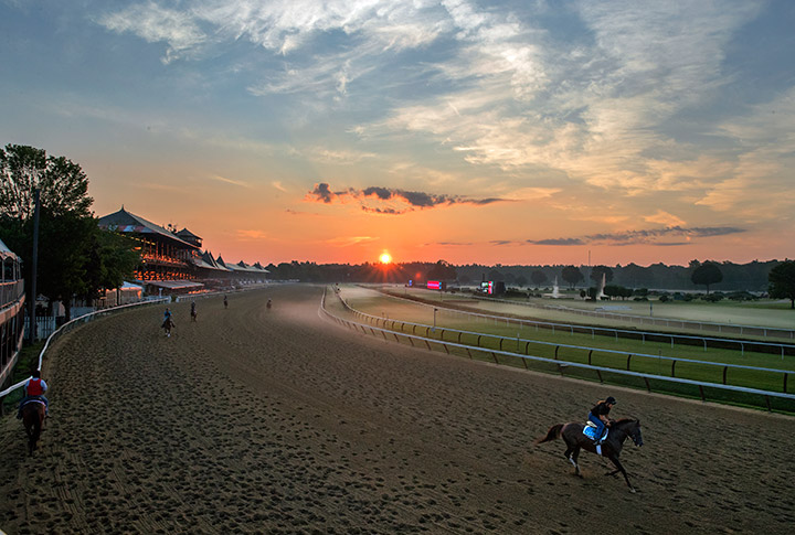 Saratoga morning training