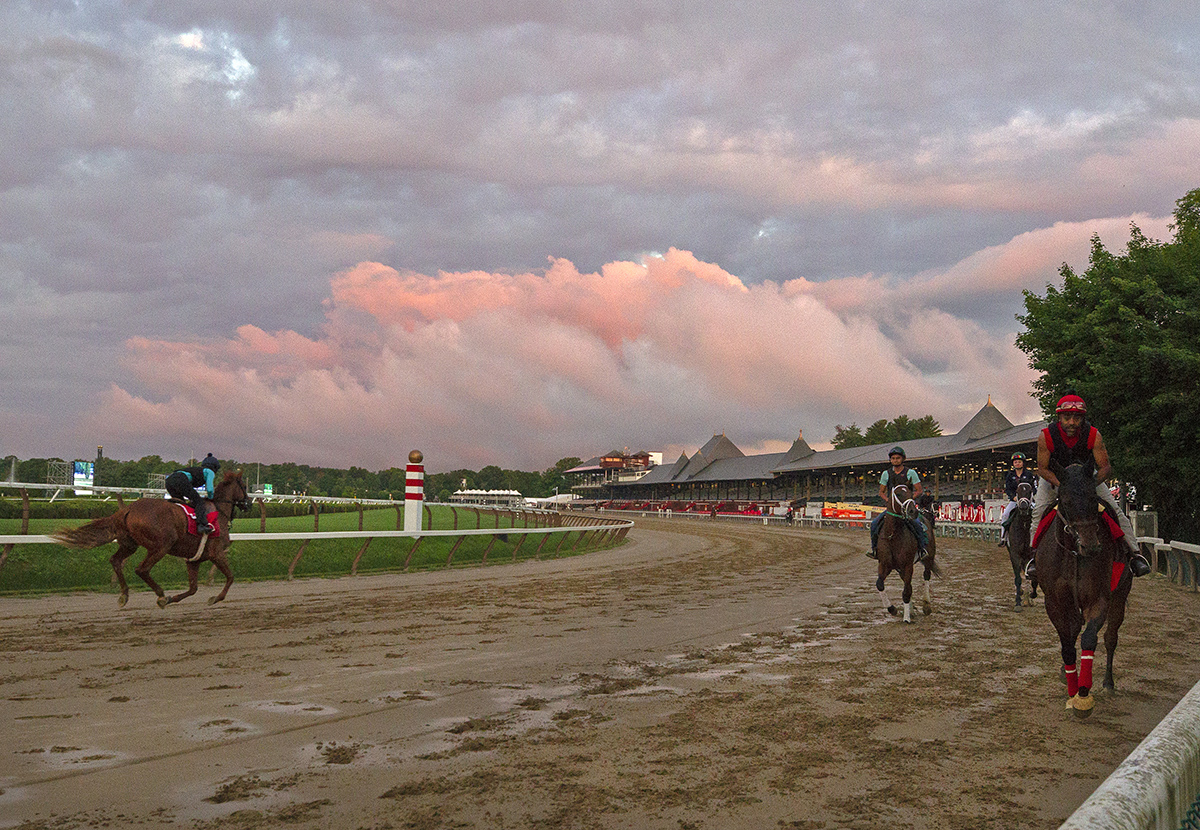 Horses train at Saratoga on July 18