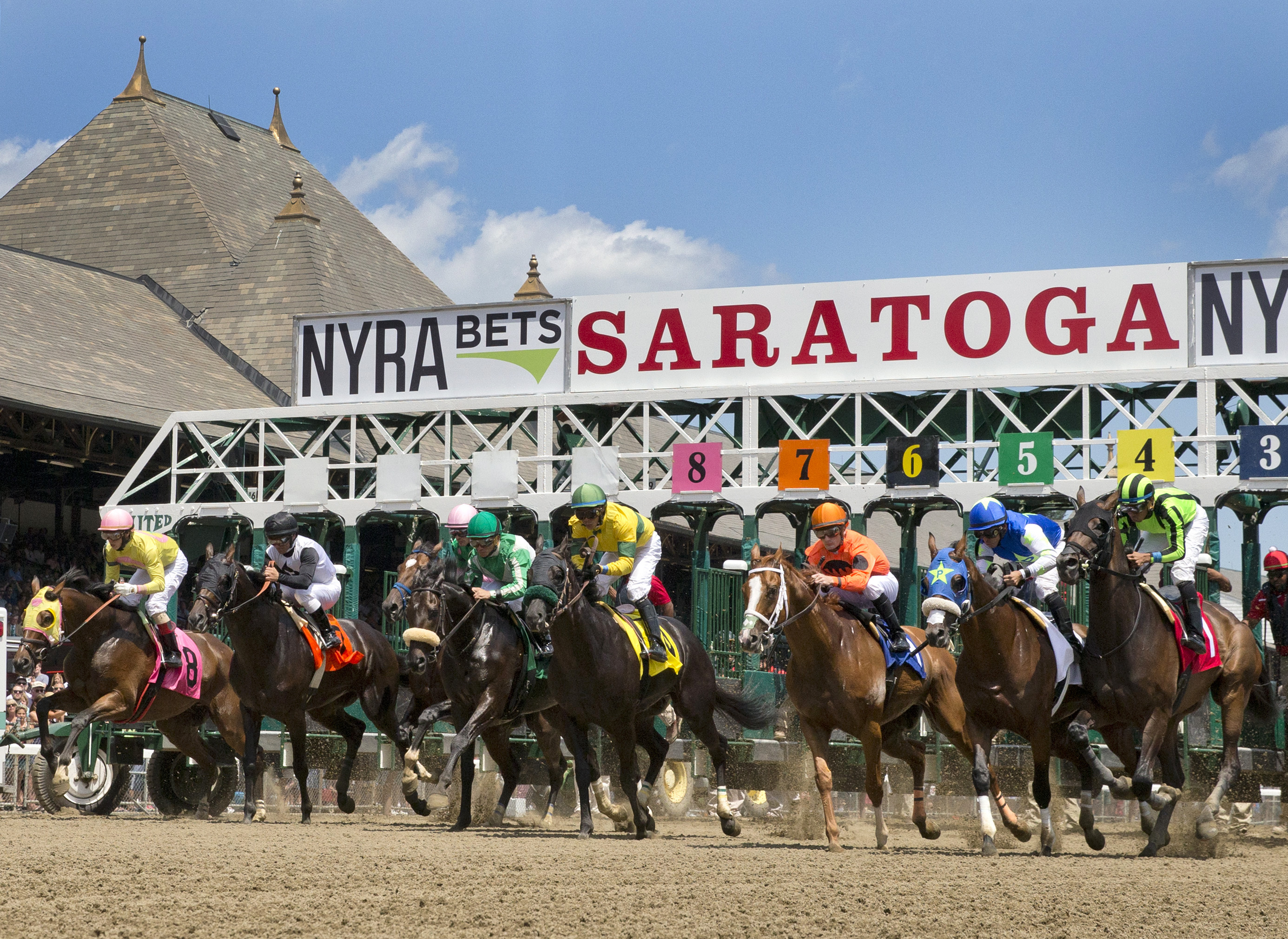 Saratoga race start