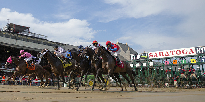 Saratoga race start