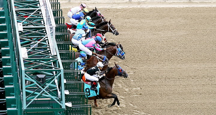 Saratoga starting gate