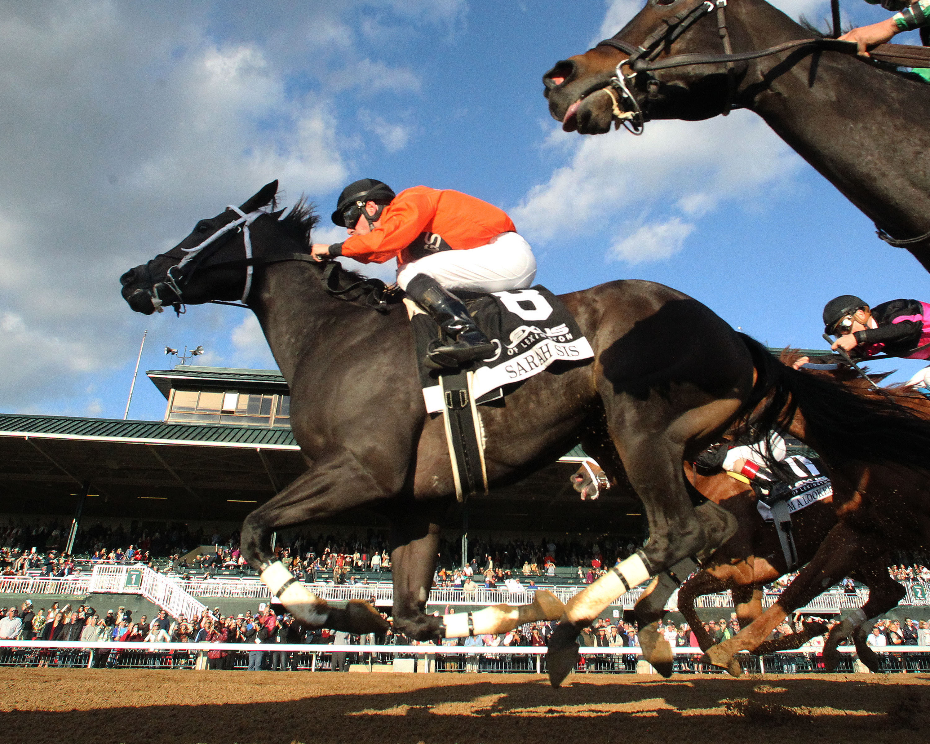 Sarah Sis wins 2015 Raven Run