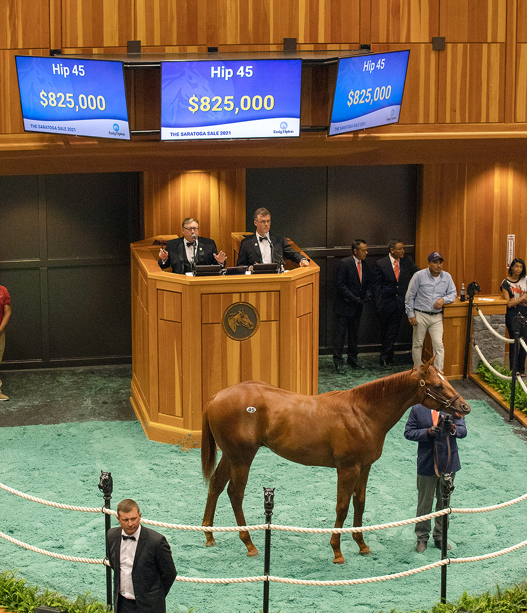 Hip 45, a Justify/Bar of Gold colt, sells for $825,000 at the Fasig-Tipton Saratoga Selected Yearling Sale