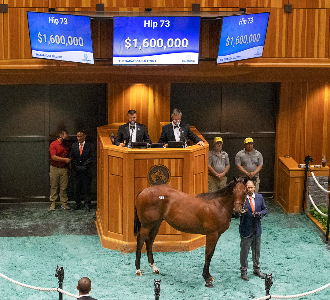 Hip 73, a Uncle Mo/Dame Dorothy colt, sells for $1.6 million at the Fasig-Tipton Saratoga Sale