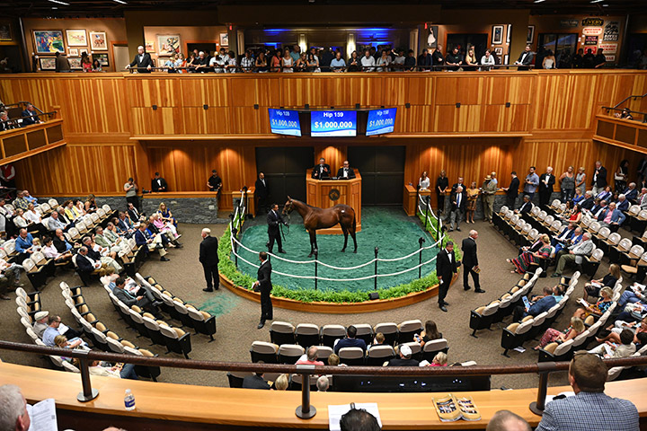Saratoga Fasig-Tipton sale