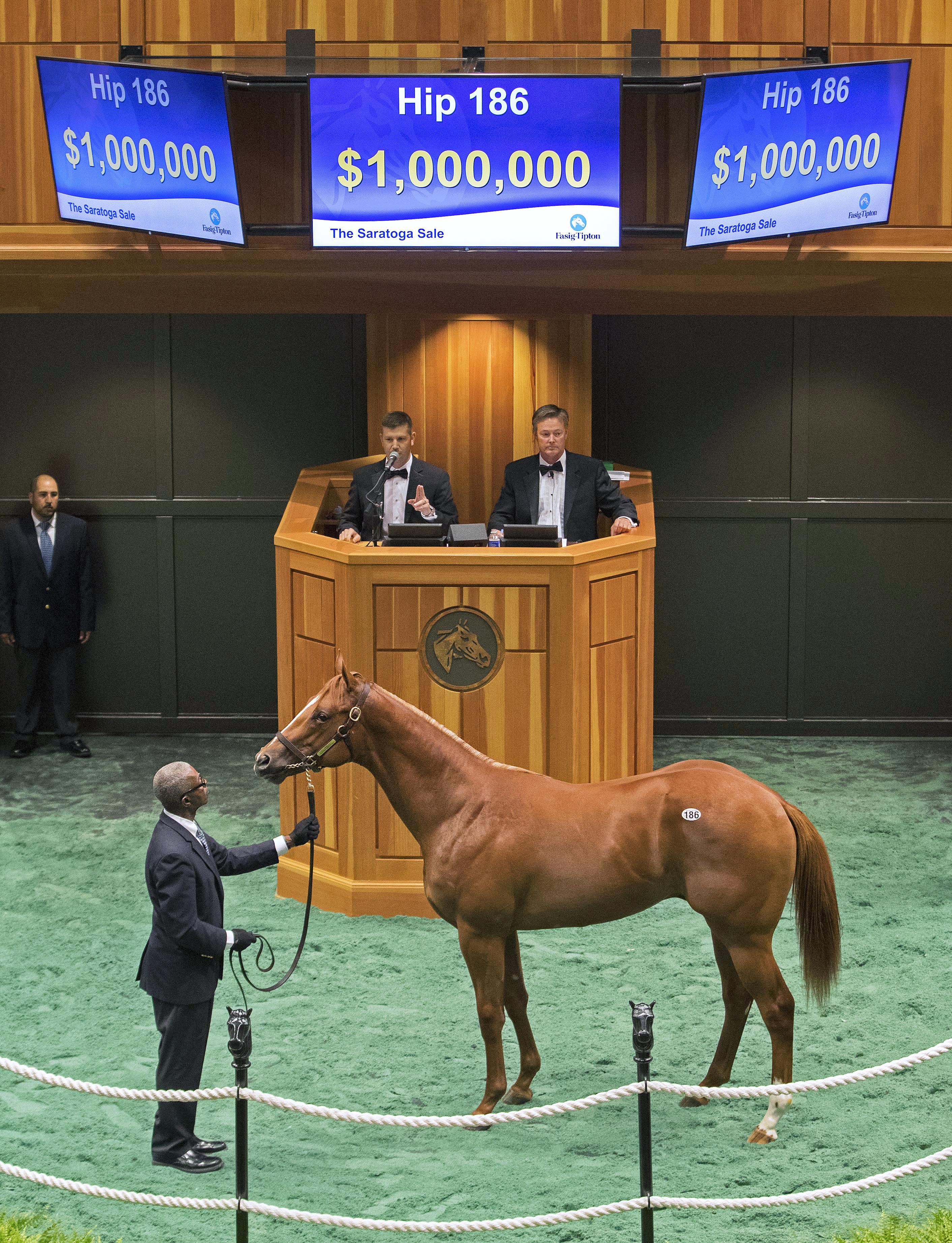 Orb/Flashy American colt sells for $1 million at 2017 Saratoga sale
