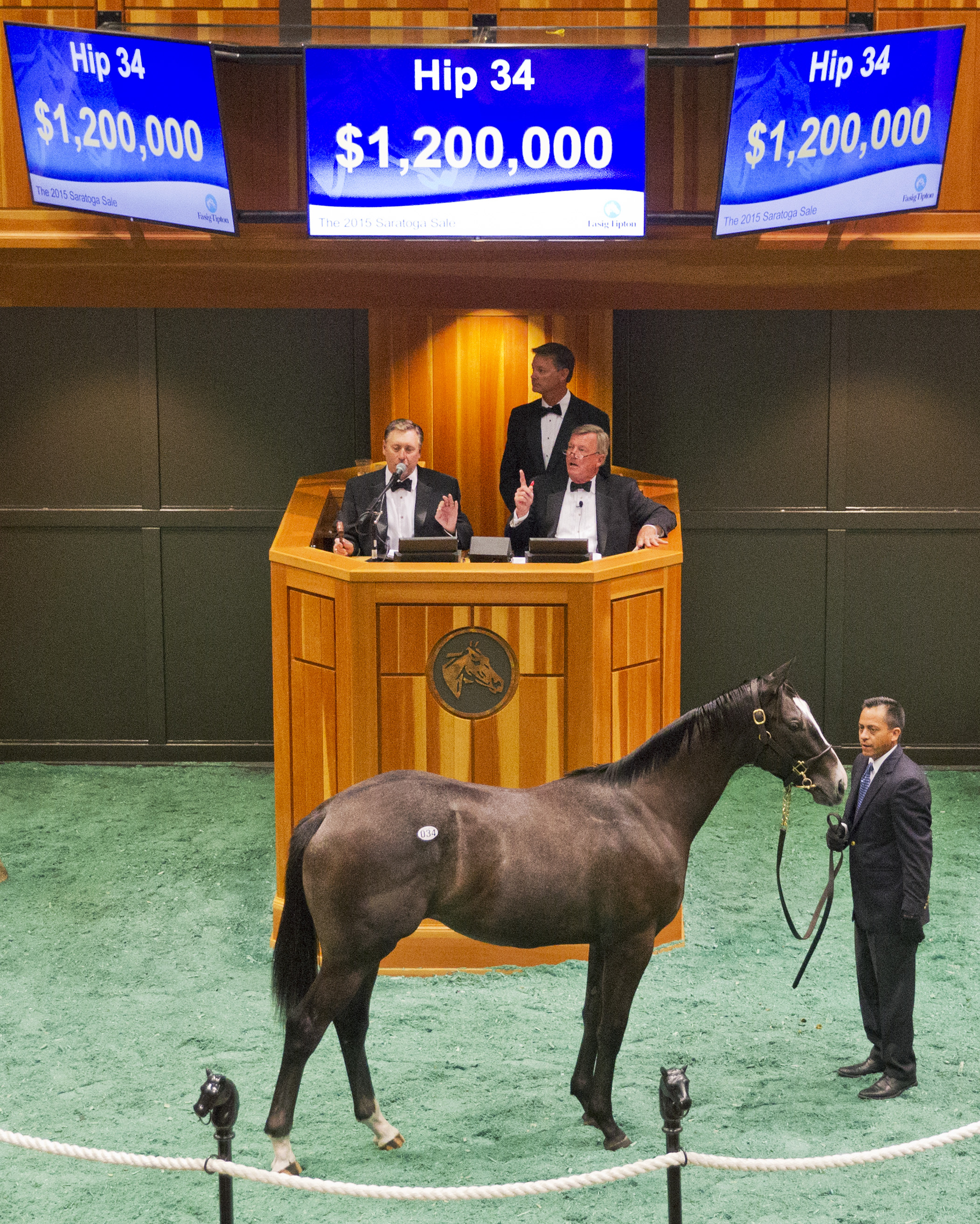 Tapwrit sells as a yearling at the 2015 Saratoga Yearling sale
