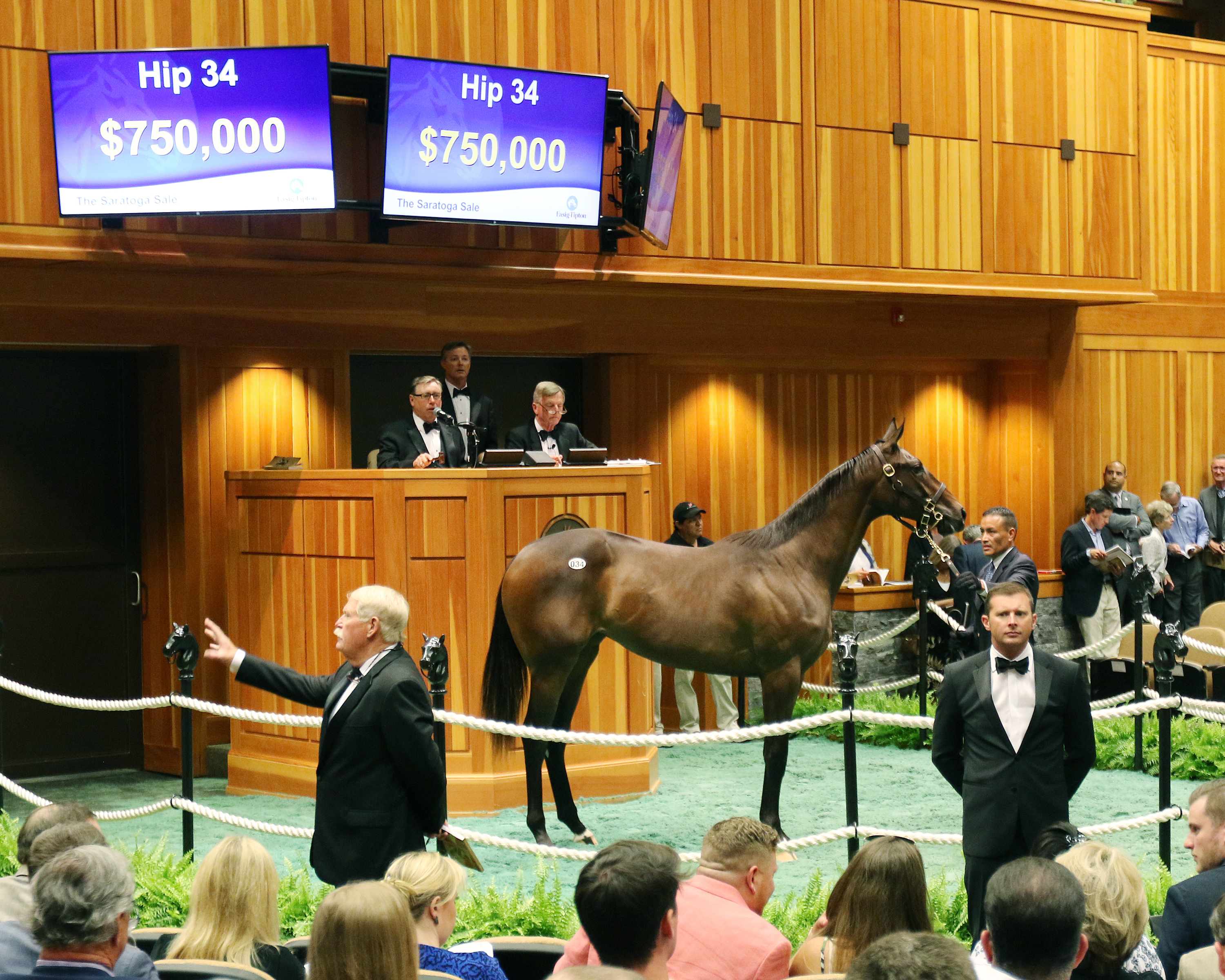 Hip 34 sells at the 2017 Saratoga selected yearling sale
