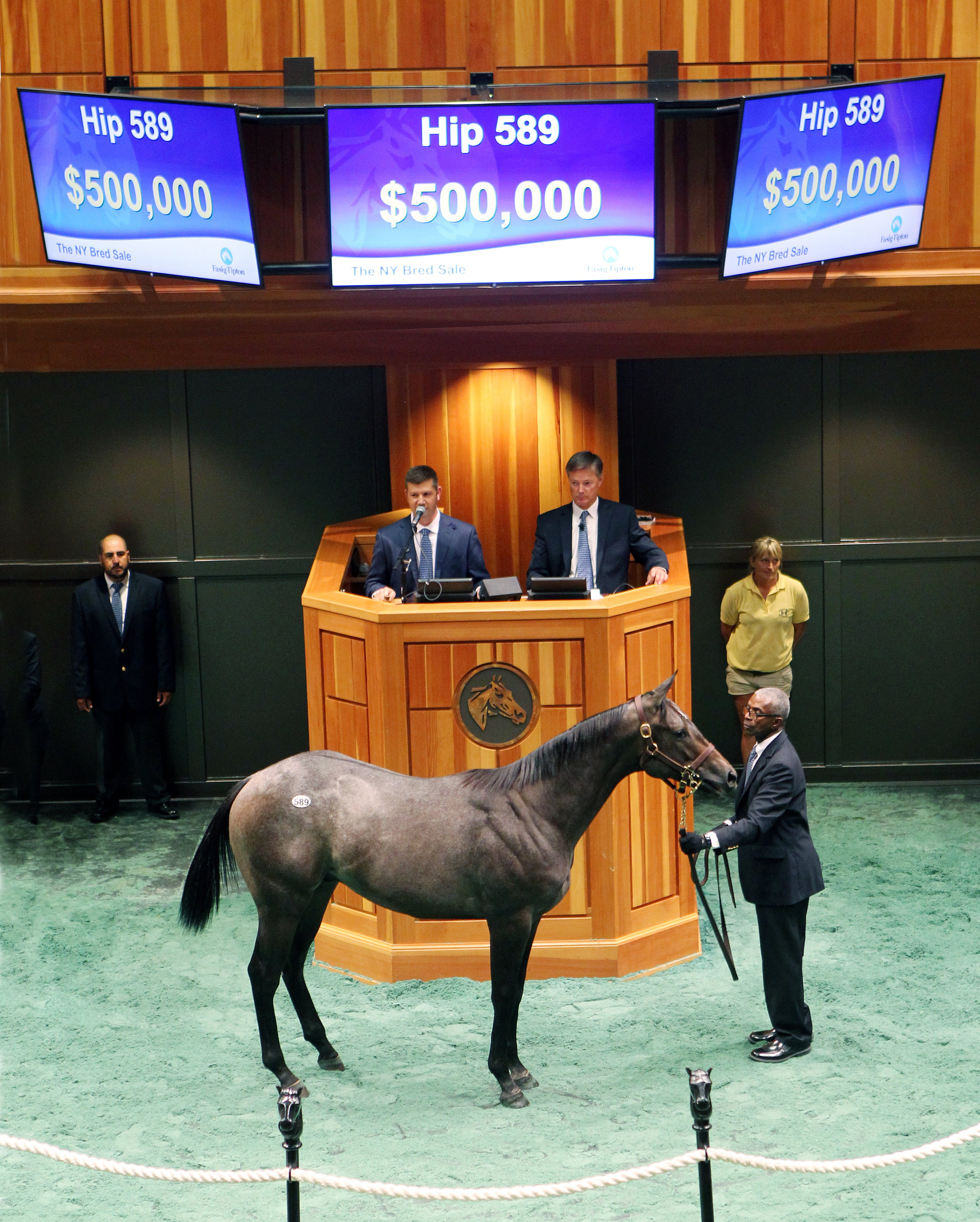 A Cairo Prince colt sells for $500,000 at the 2017 Saratoga Sale