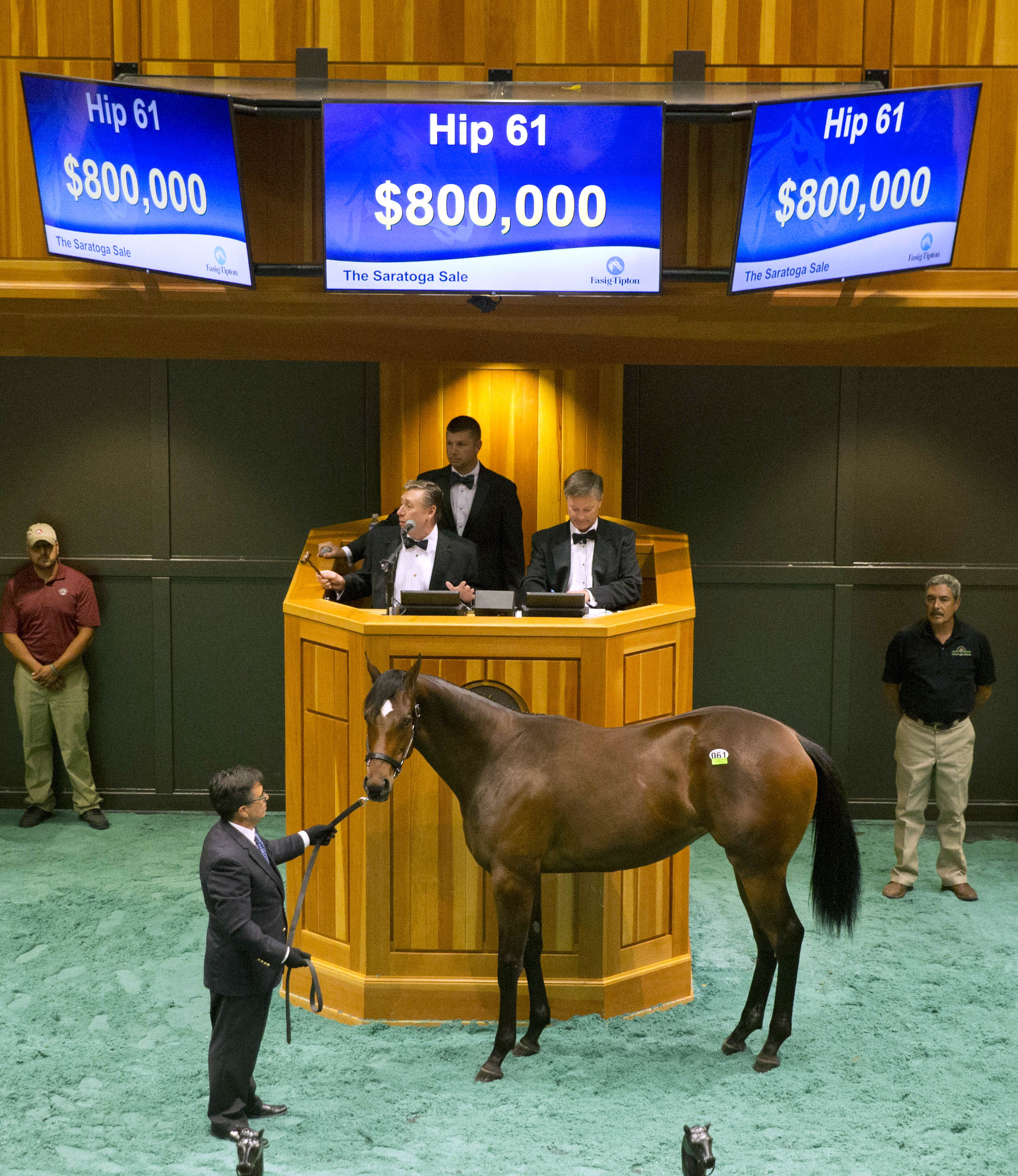 Hip 61 sold for $800,000 at the Saratoga Yearling Sale