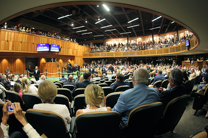 Fasig-Tipton Saratoga Sale