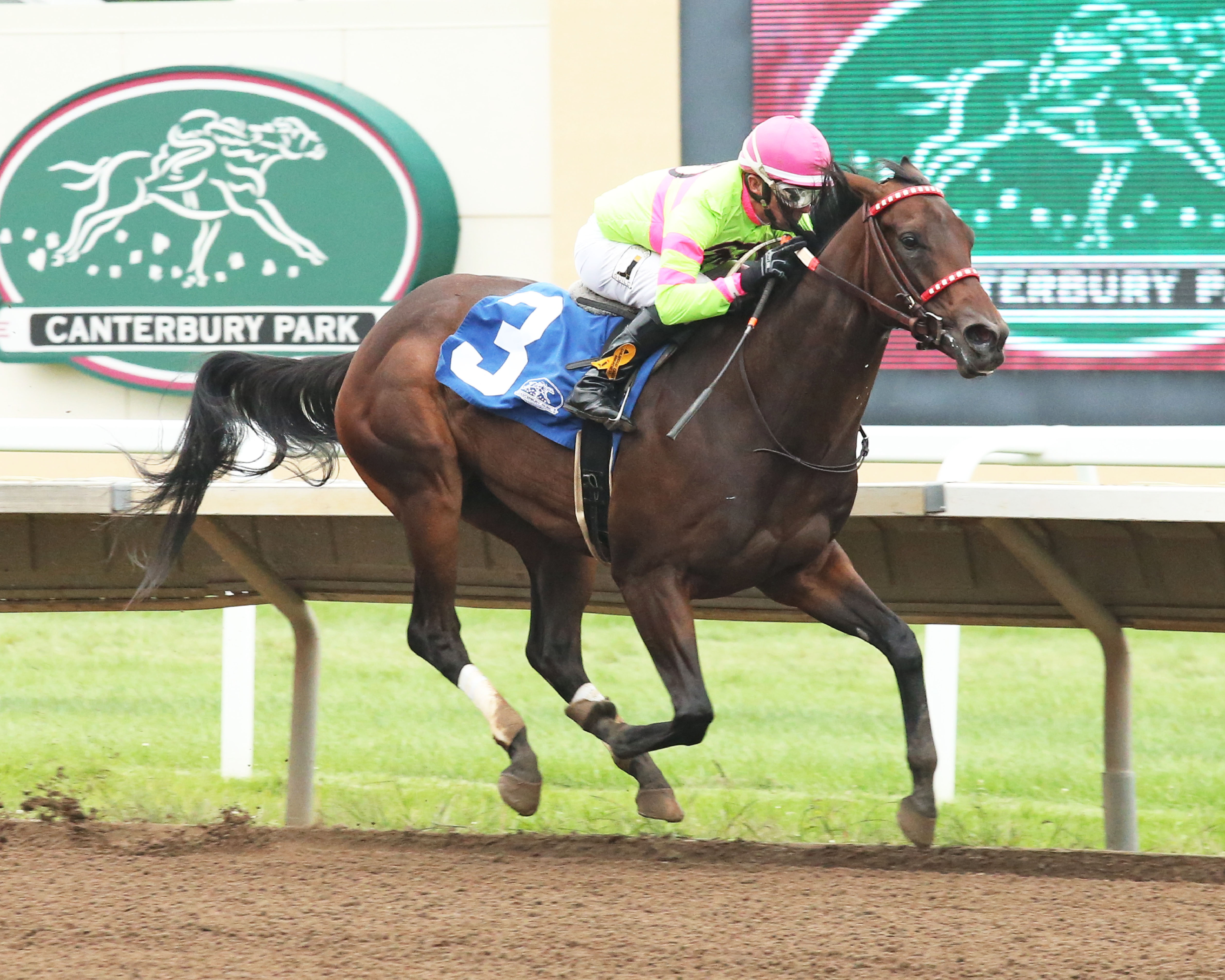 Sassy Seneca wins the 2019 Shakopee Juvenile