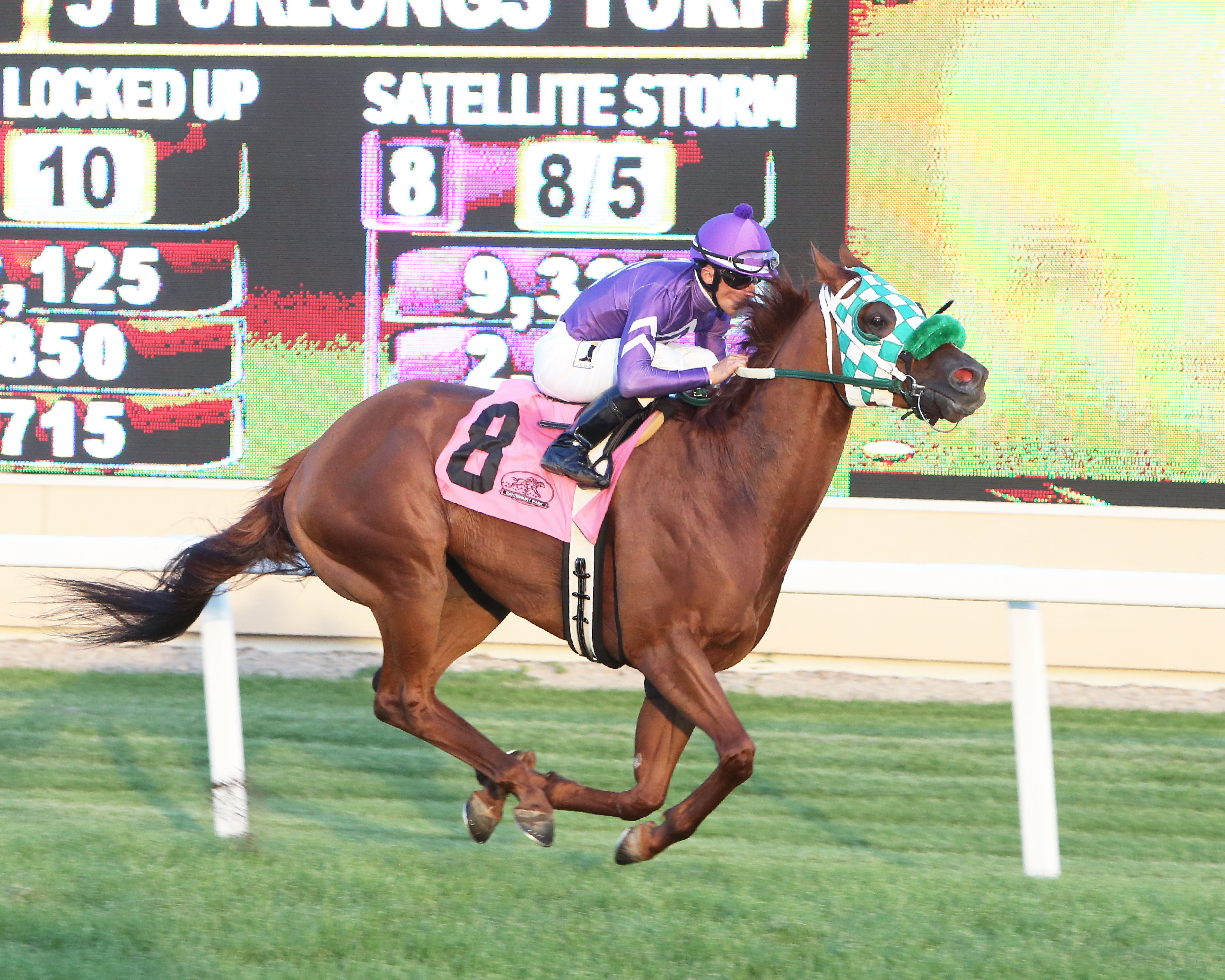 Satellite Storm wins the 2019 Mystic Lake Turf Sprint