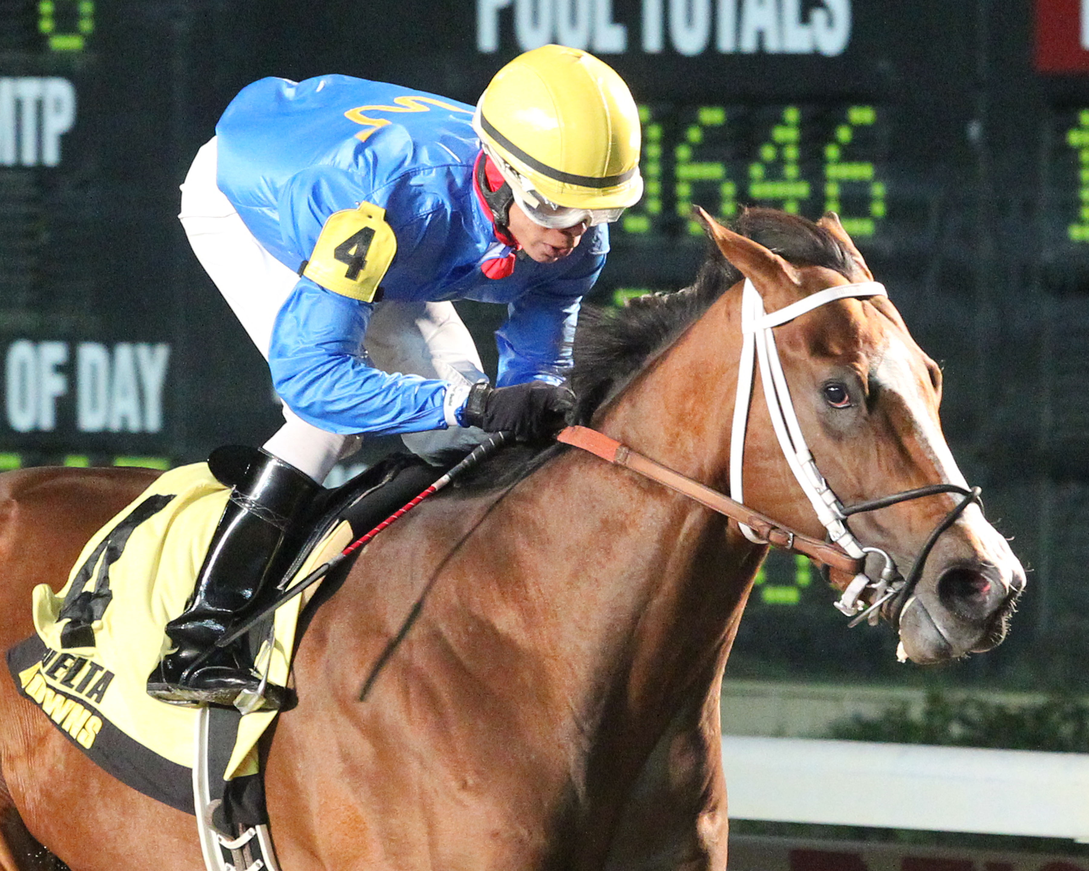 Sea Vow wins 2016 Big Drama