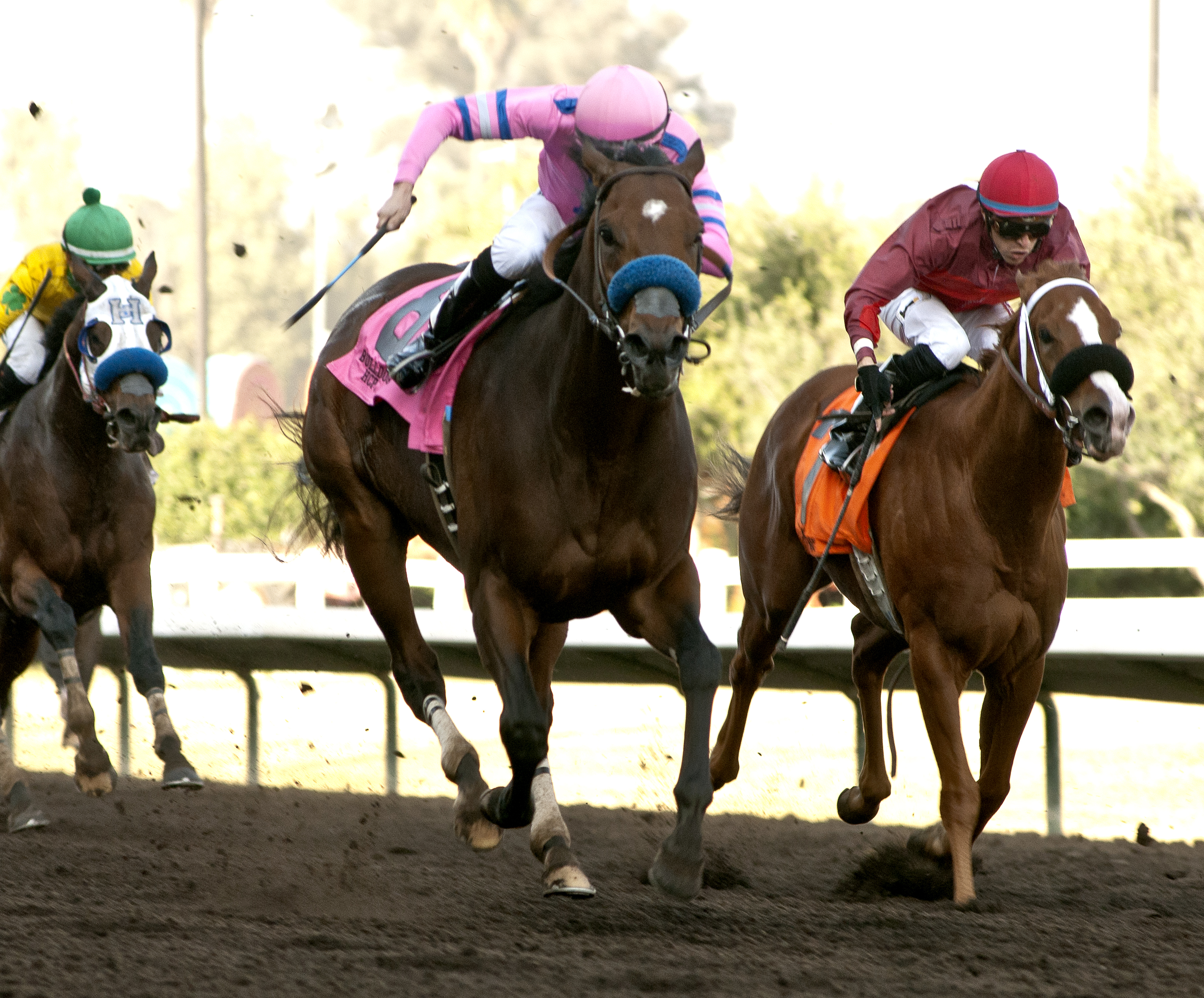 Seattle Serenade wins the 2017 Bull Dog Handicap