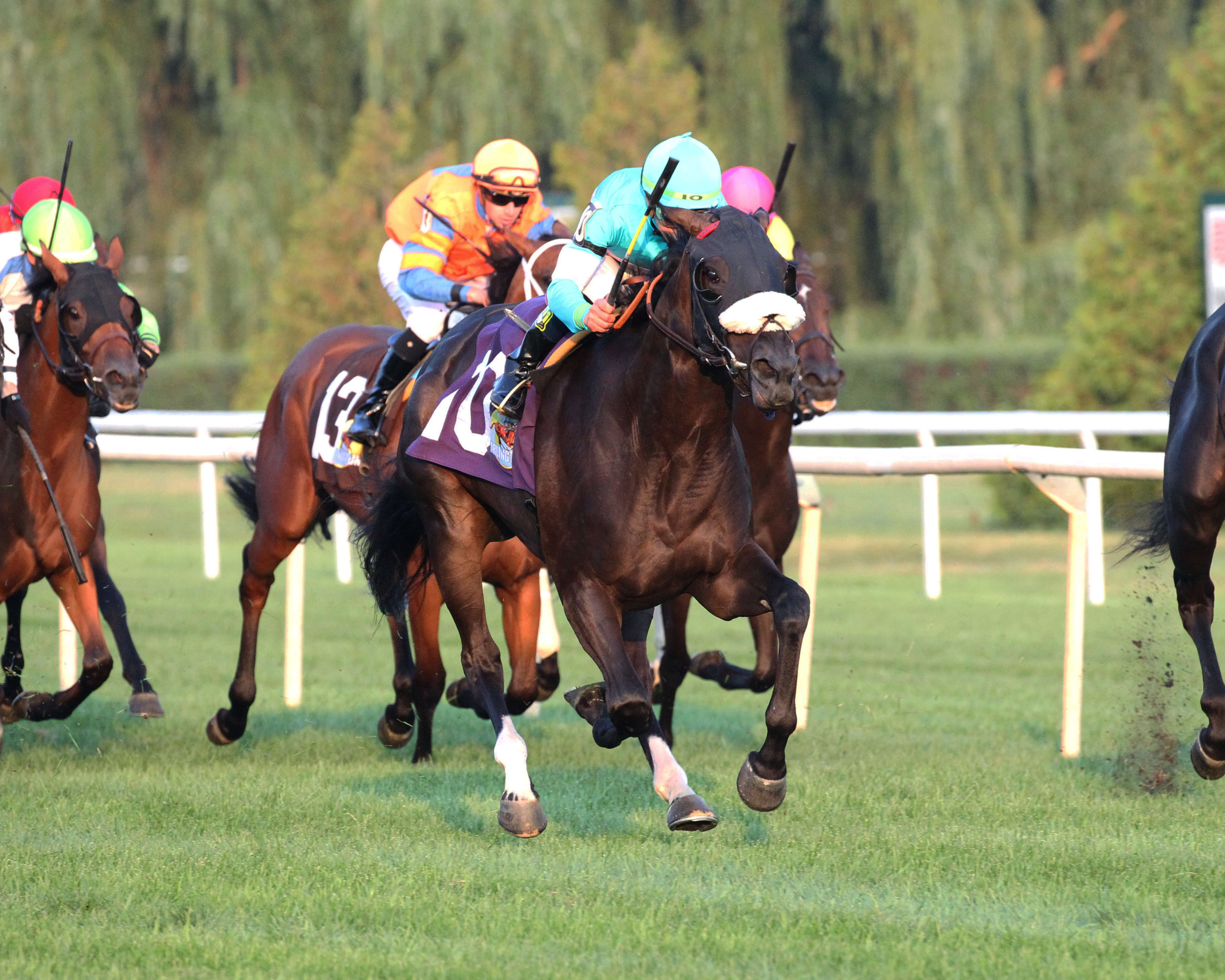Secret Message wins 2018 Pucker Up