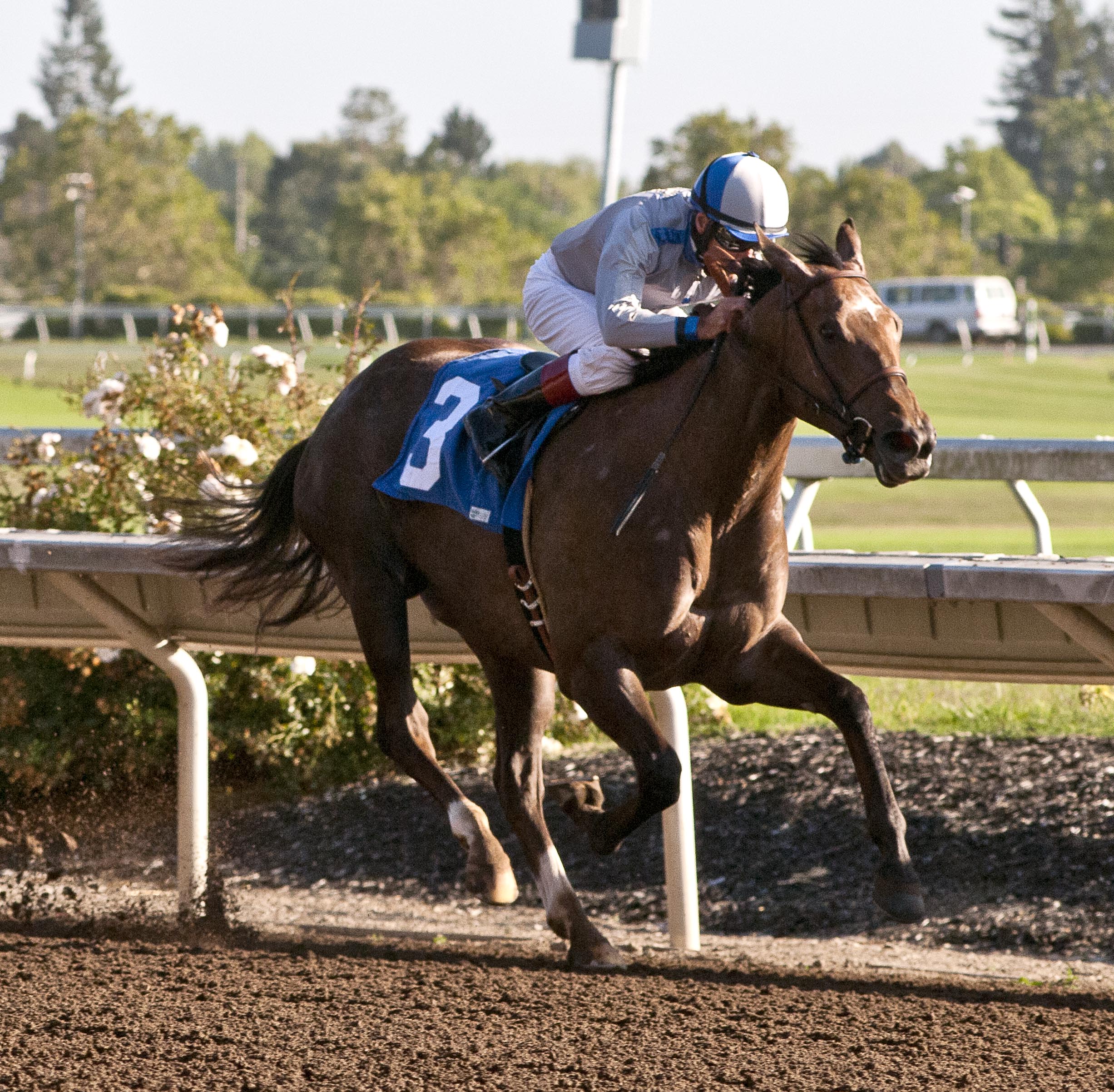 Seduire wins 2014 Wine Country Debutante