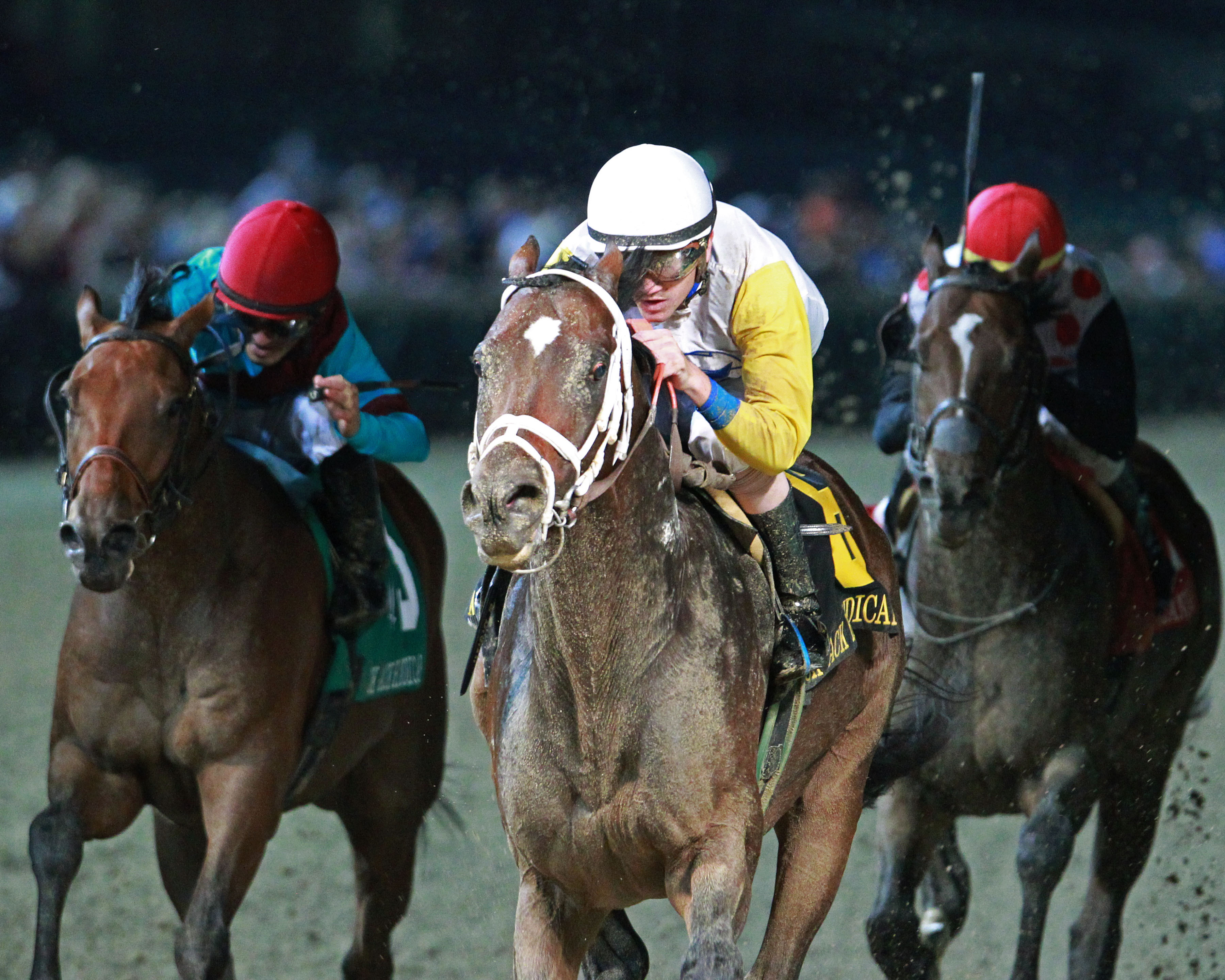Seeking the Soul wins the 2018 Ack Ack